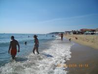 Sunny Invest 7